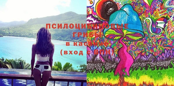 дурь Аркадак