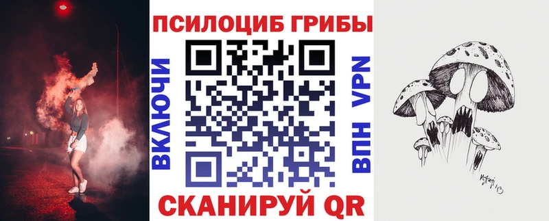 Галлюциногенные грибы Psilocybine cubensis Асино