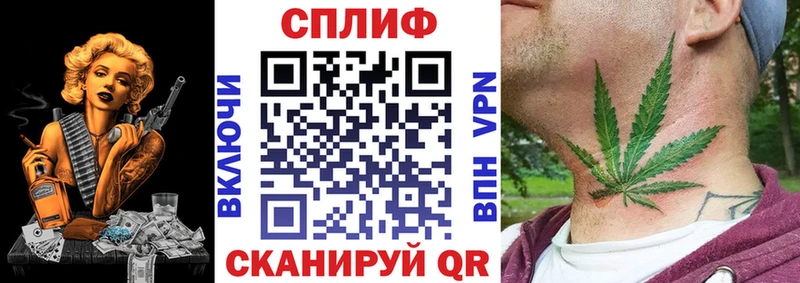 Конопля планчик  Асино 